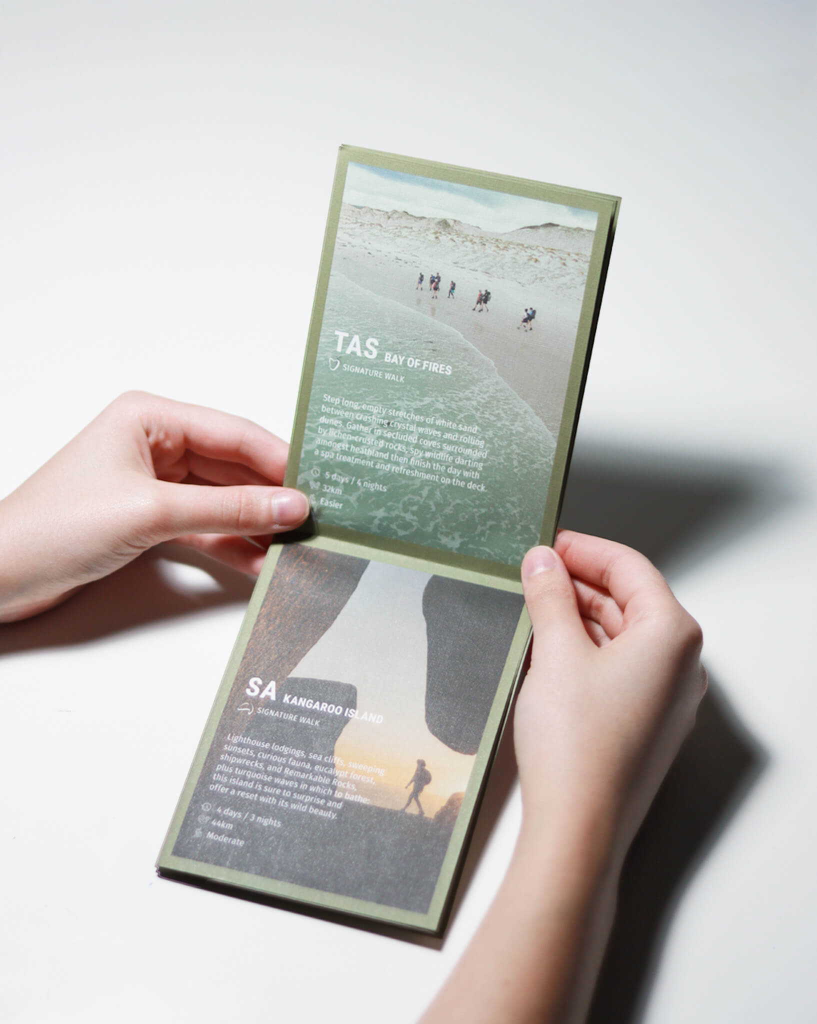 Tasmanian Walking Company Pocket Guides - Flying Colours Group