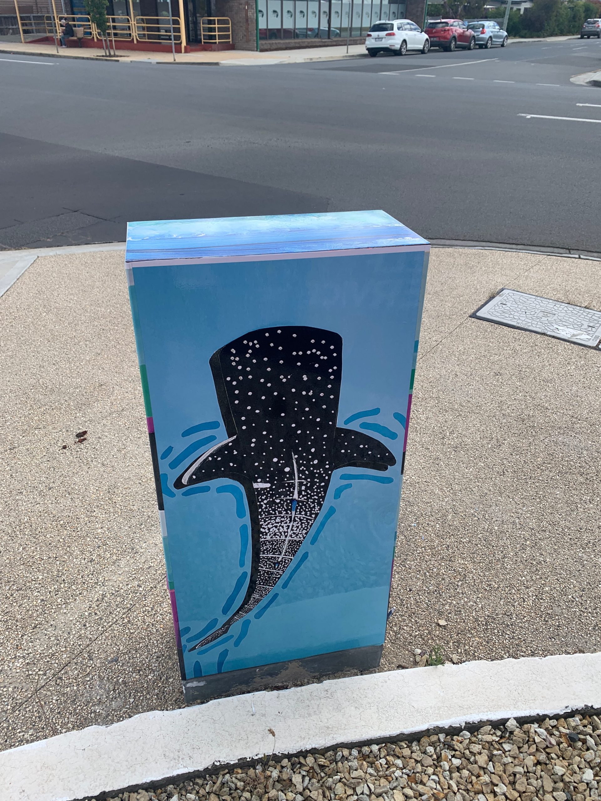 TasNetworks - Flying Colours Group