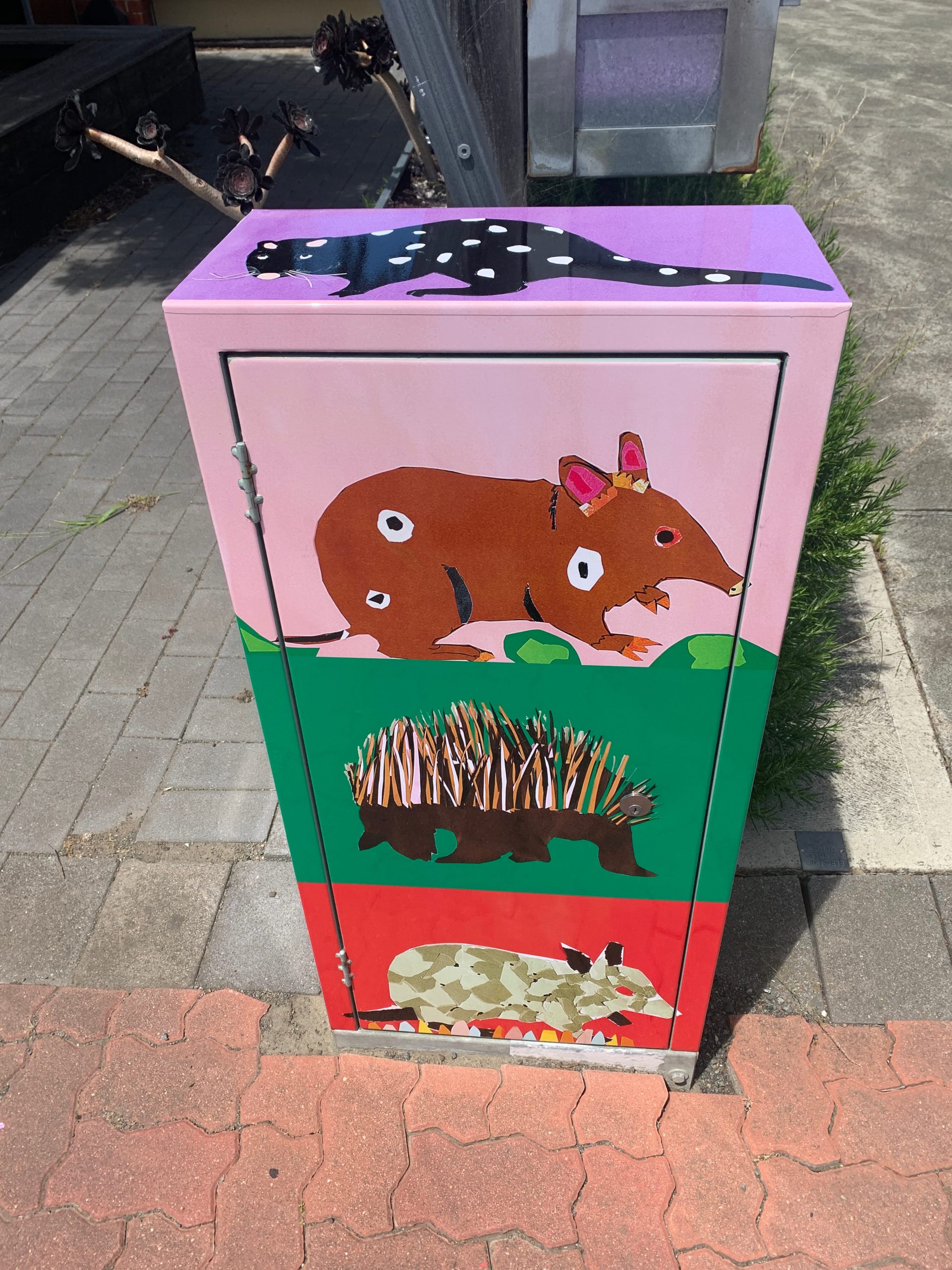 TasNetworks - Flying Colours Group