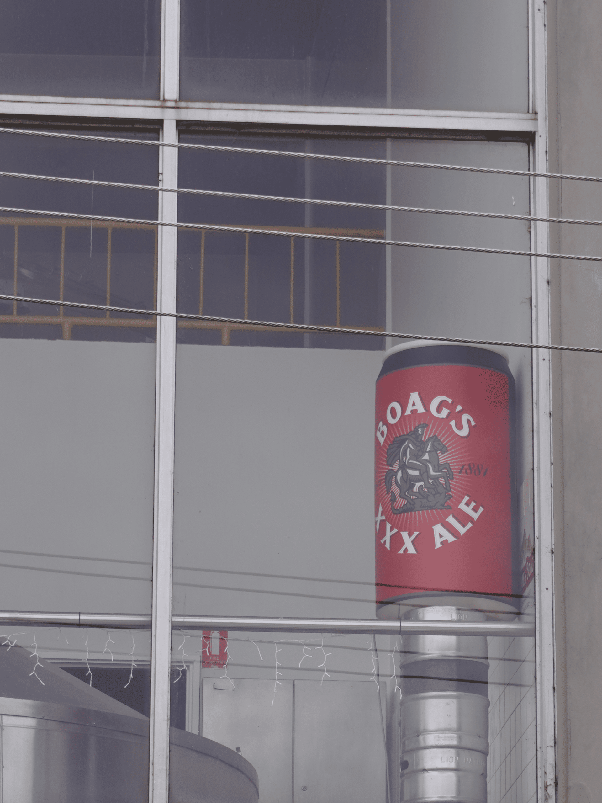 Boags Cans - Flying Colours Group