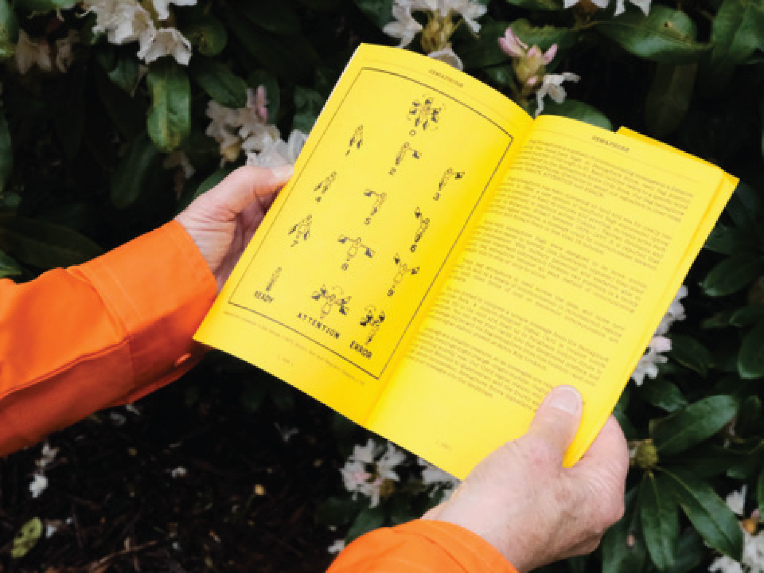 The Unconformity - Semaphore Book - Flying Colours Group