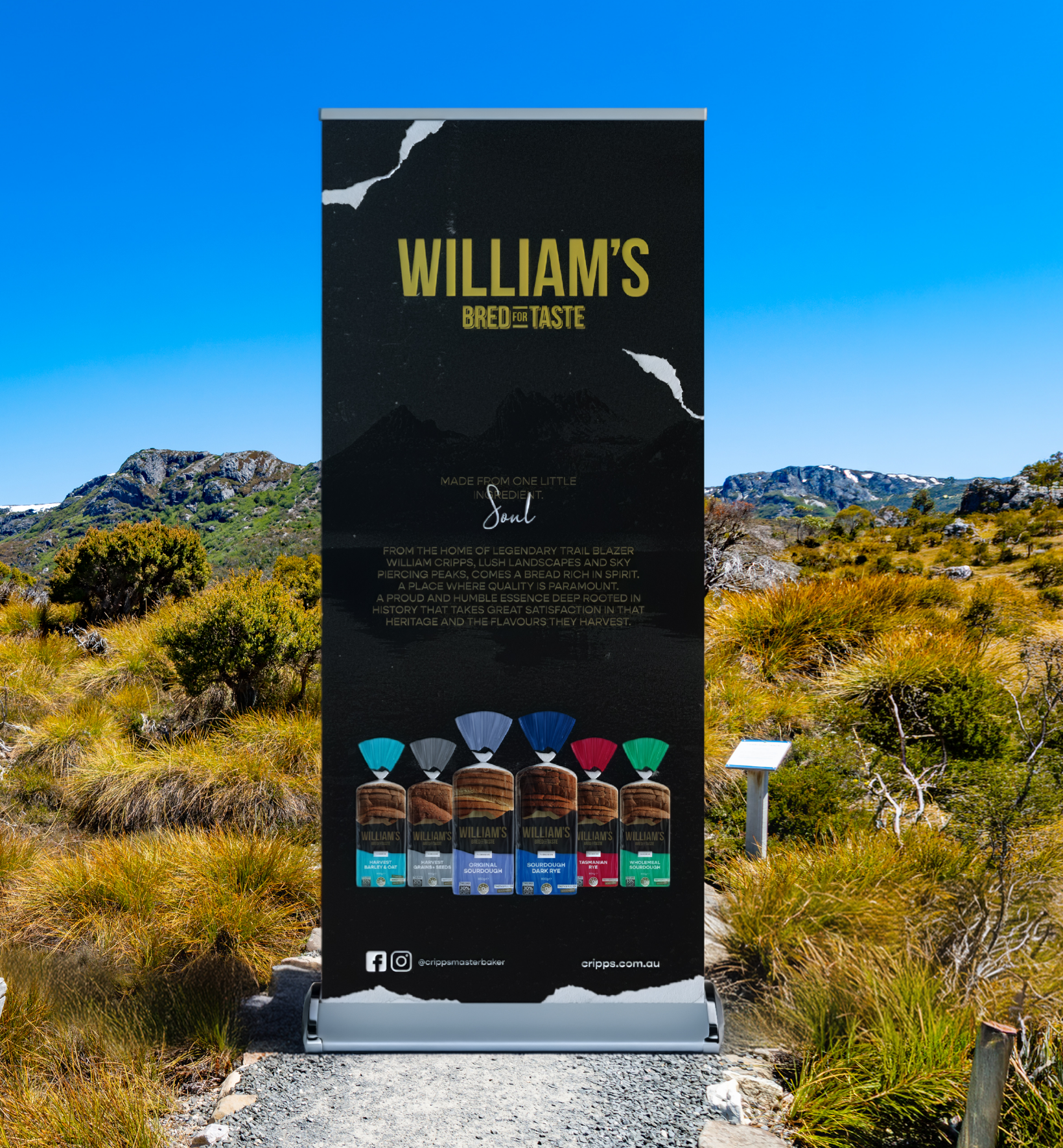 Cripps_Williams_07A